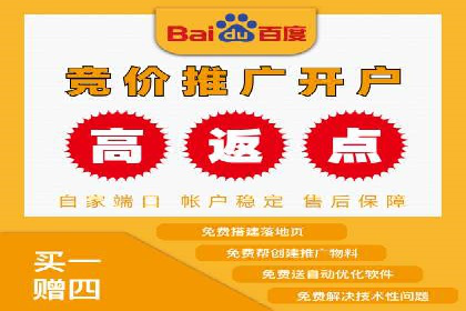 百度SEO推广策略案例：一家公司的成功转型之路